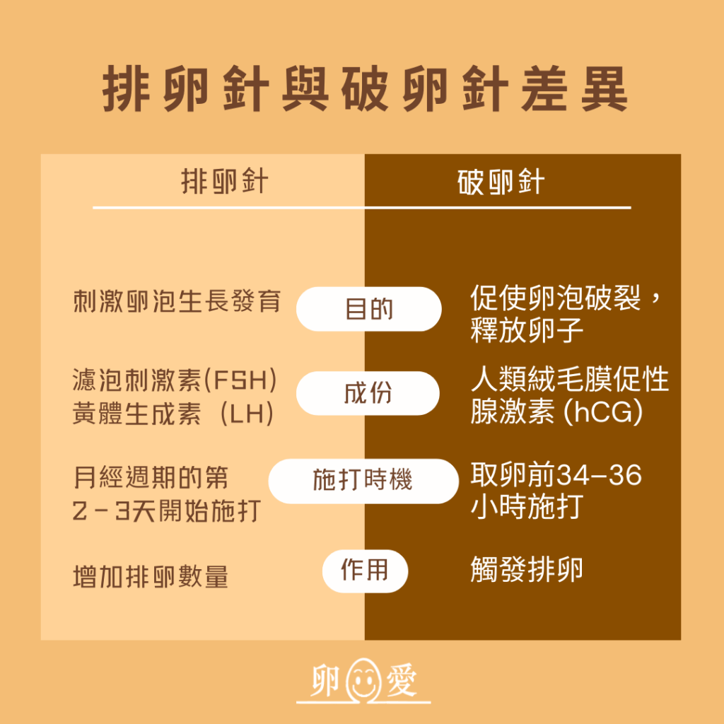排卵針與破卵針差異